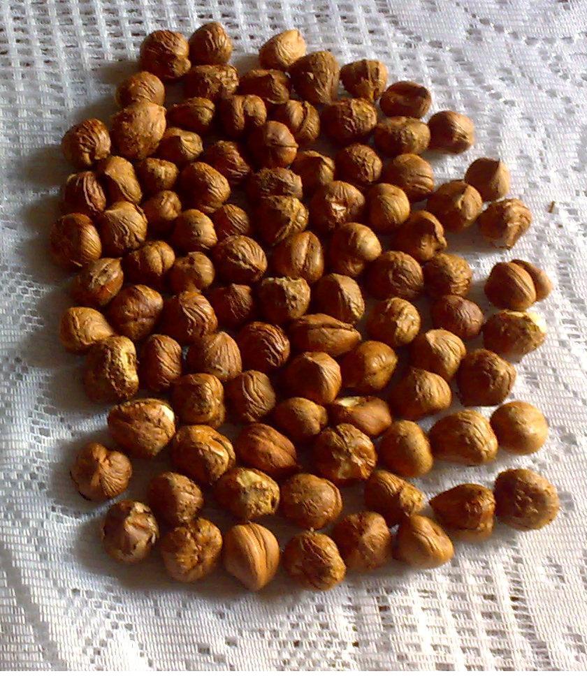产品名称：Natural Hazelnut Kernel