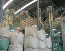 Further image of the sorting and grading area